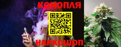 стафф Гусев