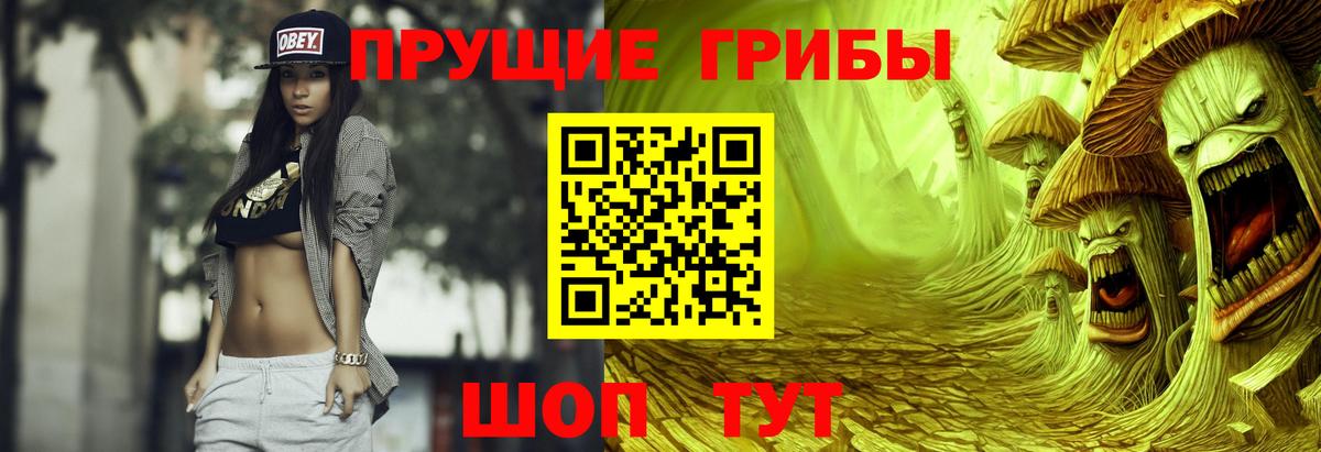 Ефремов  Псилоцибиновые грибы мицелий  Вход с VPN 